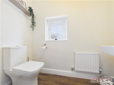 Picture 12